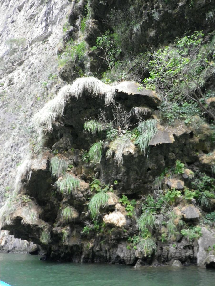 Sumidero Canyon near Tuxtla Gutierrez148